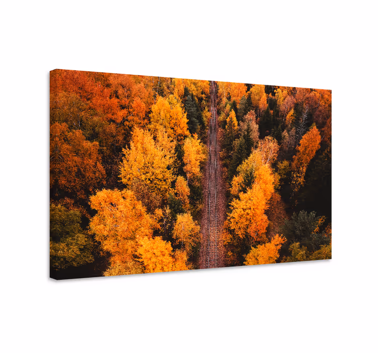Zračna fotografija šumsko drveće zidno platno - TenStickers