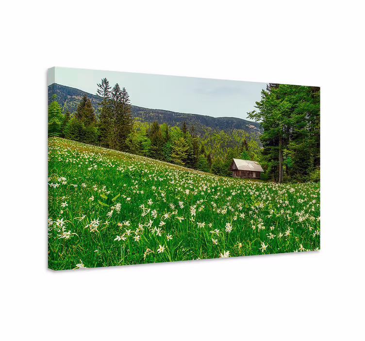 Slika na platnu krajolici Šarmantna seoska koliba - TenStickers