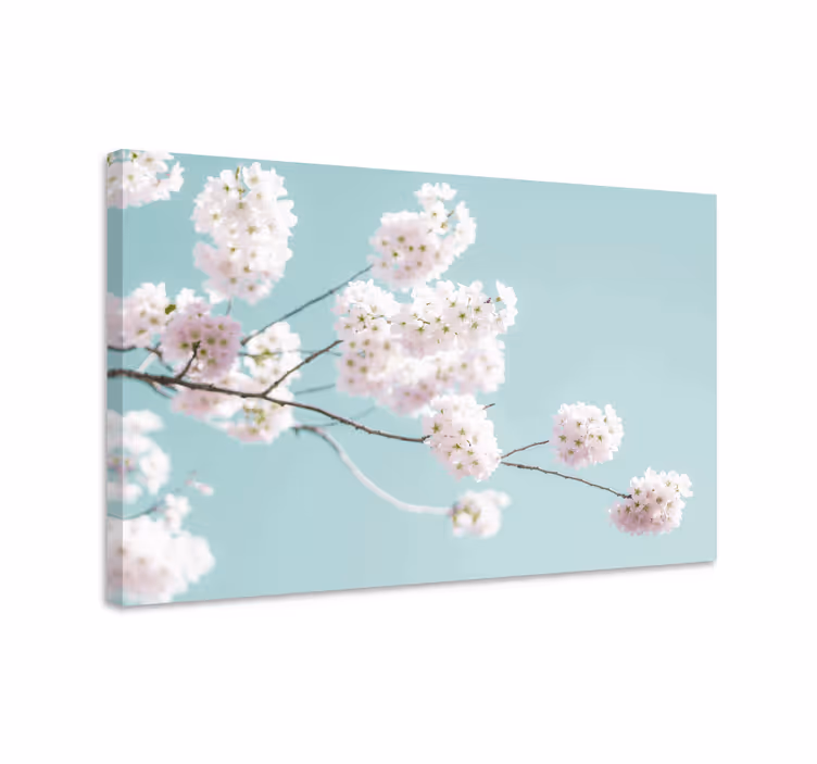 Slika na platnu cvijeće i biljke sakura cvijet stabljika - TenStickers
