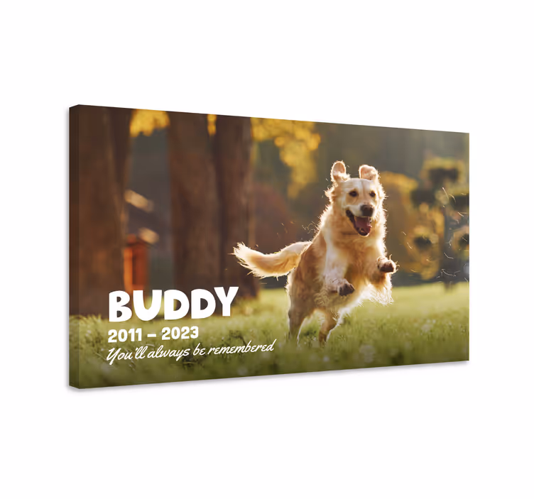 Slika na platnu dnevna soba "Here lies our beloved pet.He brought - TenStickers
