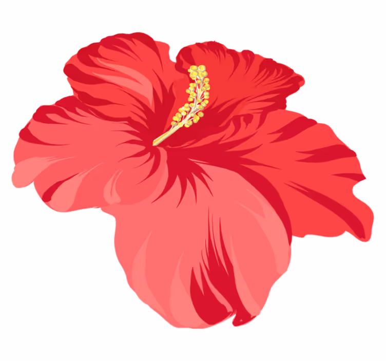 Vinil podovi cvijeće i biljke set hibiskusa - TenStickers