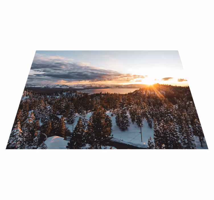 Vinil podovi priroda lush forest landscape - TenStickers