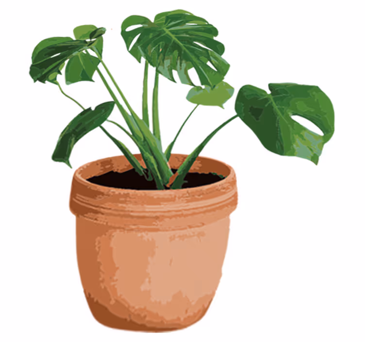 Vinil podovi cvijeće i biljke jednostavni lonac monstera - TenStickers