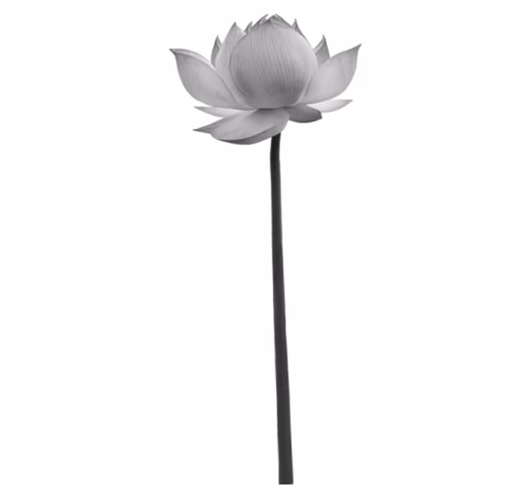 Vinil podovi spavaća soba lotus samotna cvijet - TenStickers