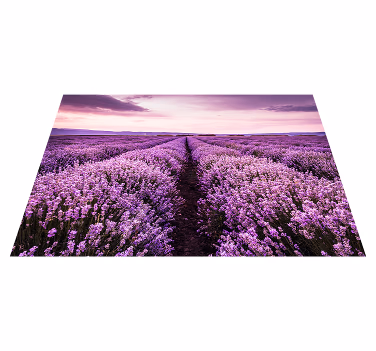 Vinil podovi purpurna boja s lavandom iz provanse - TenStickers