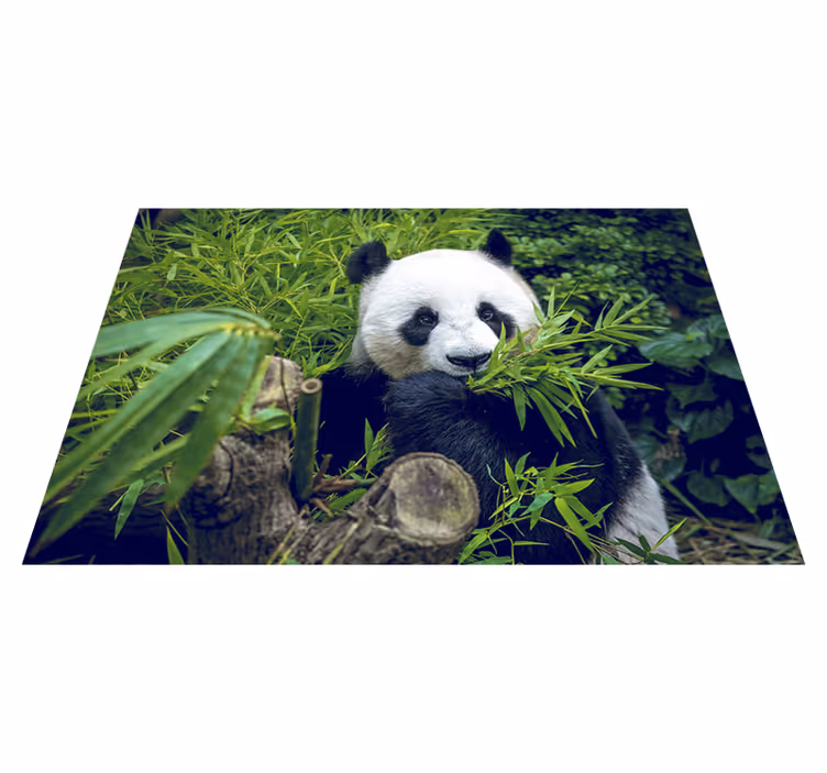 Vinil podovi zelena slatka panda - TenStickers