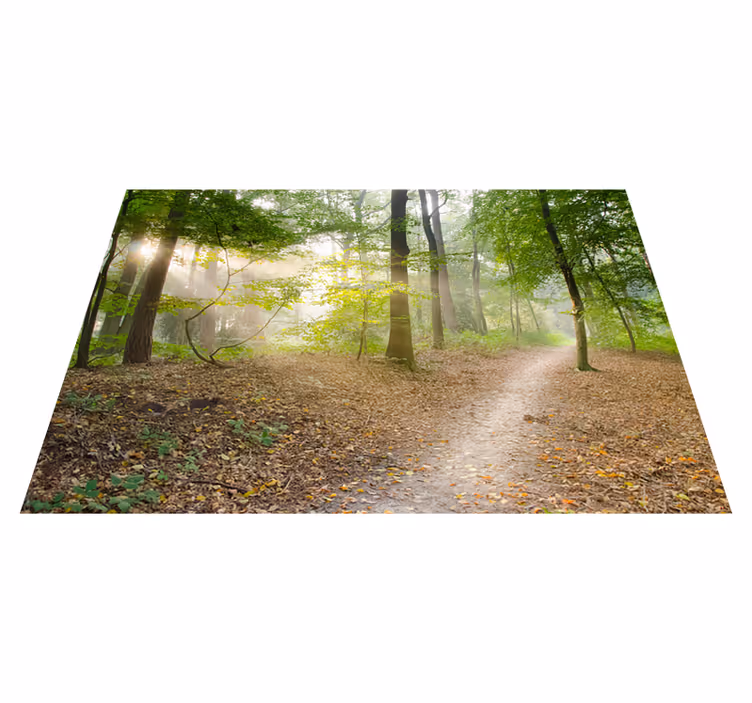 Vinil podovi zelena staza šumske spokoja - TenStickers