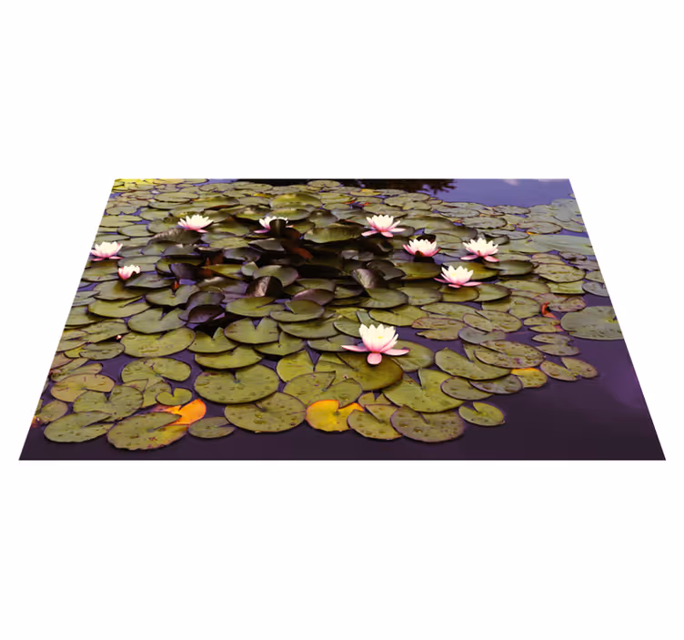Vinil podovi cvijeće i biljke ljiljan pond ljepota - TenStickers