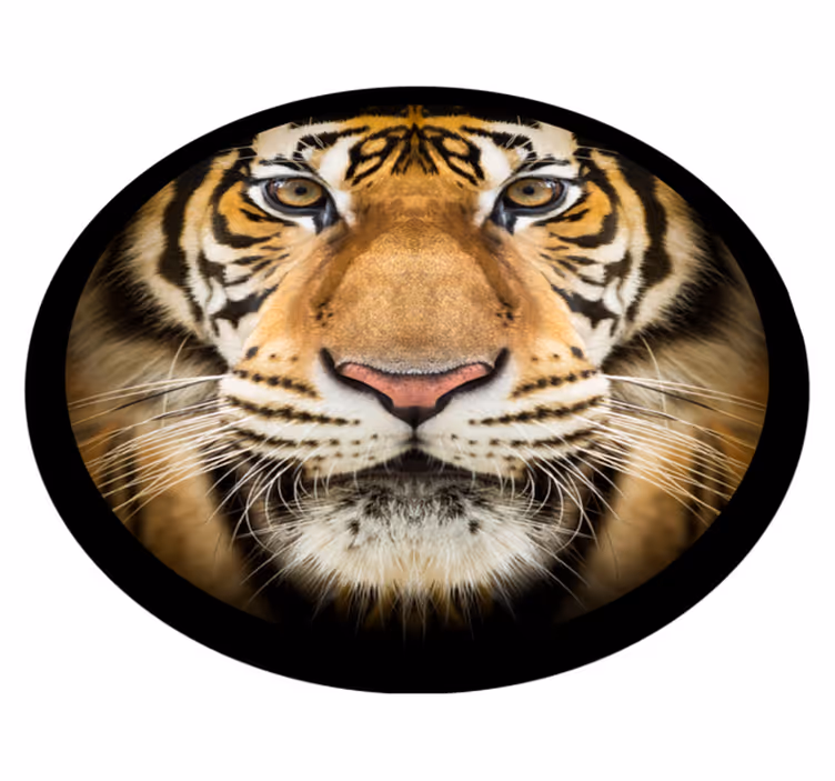 Vinil podovi životinja tigar izbliza - TenStickers