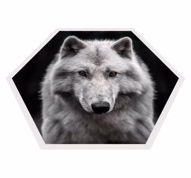 Vinil podovi životinja portret vuka - TenStickers