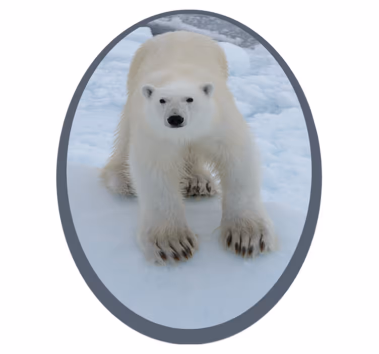 Vinil podovi životinja slika polarnog medvjeda - TenStickers