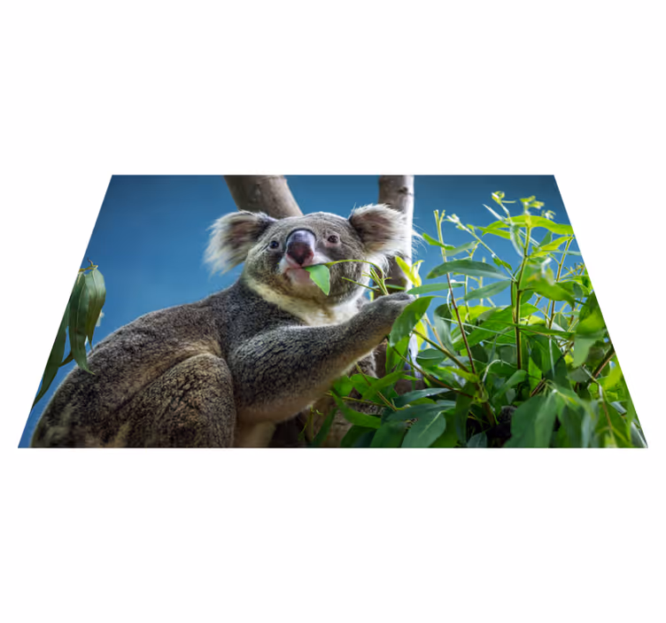 Vinil podovi životinja koala u prirodi - TenStickers