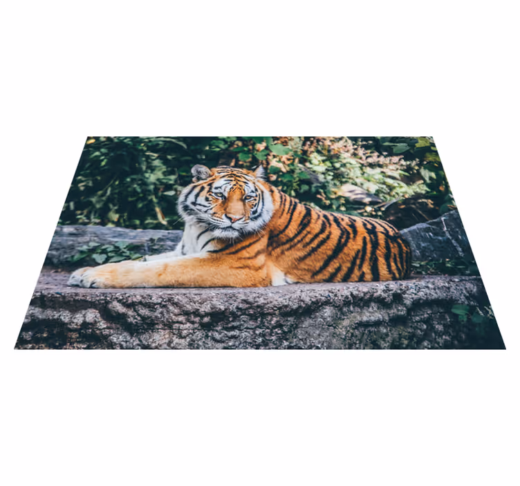 Vinil podovi životinja veličanstveni tigar leži - TenStickers