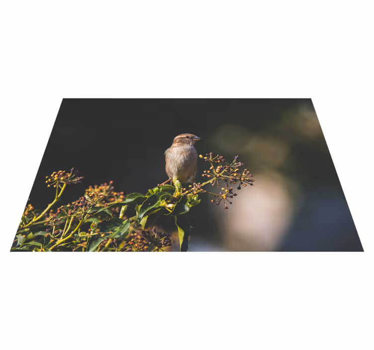 Vinil podovi priroda šarmantna ptica sjedila - TenStickers