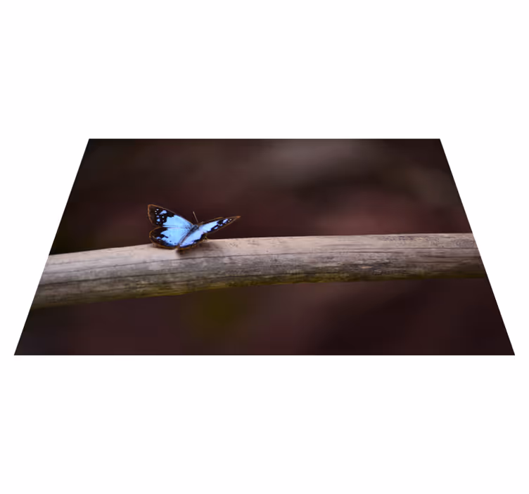 Vinil podovi priroda leptir na grani - TenStickers