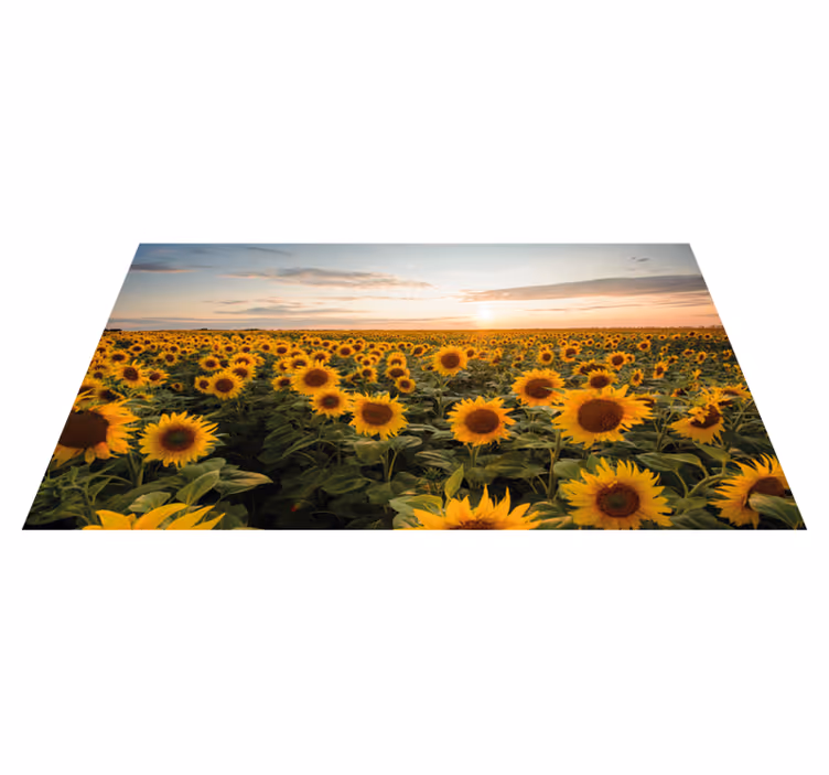Sunce cvijet sunce izlazak cvjetni sag - TenStickers