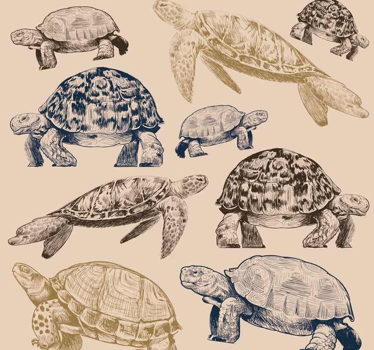 Tapete za zid  životinjske zbirka kornjača - TenStickers