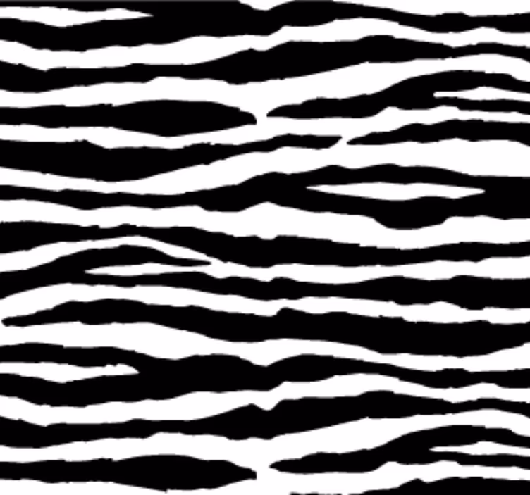 Tapete za zid životinjske zebra pruge - TenStickers