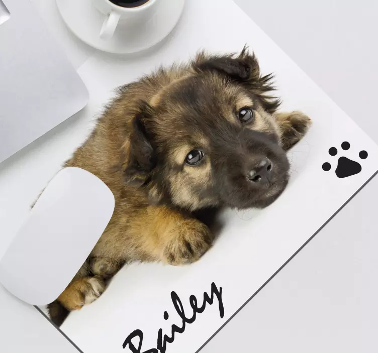 Personalizirana podloga za fotografiju i ime miša za psa - TenStickers