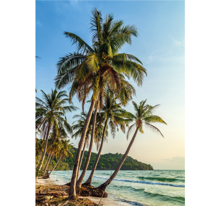 Rolo zavjese kupaonica palme na plaži - TenStickers