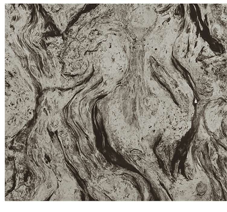 Rolo zavjese kupaonica tekstura tamnog mramora - TenStickers