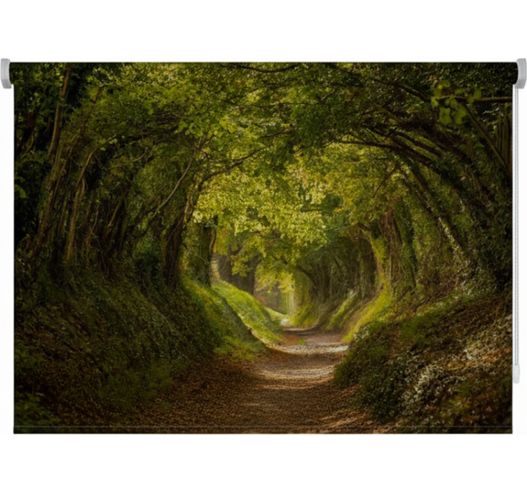 Rolo zavjese drveće engleski zeleni put - TenStickers