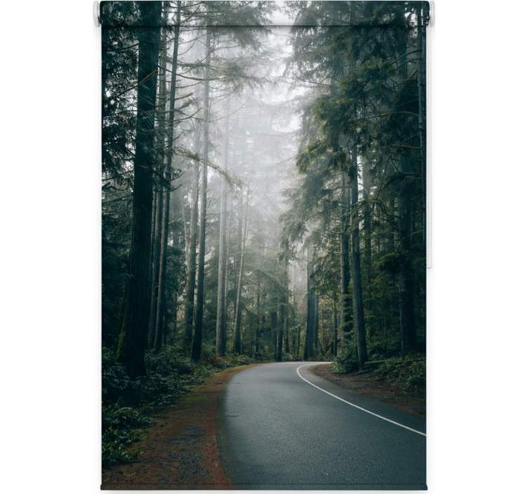 Rolo zavjese drveće maglovita borova cesta - TenStickers