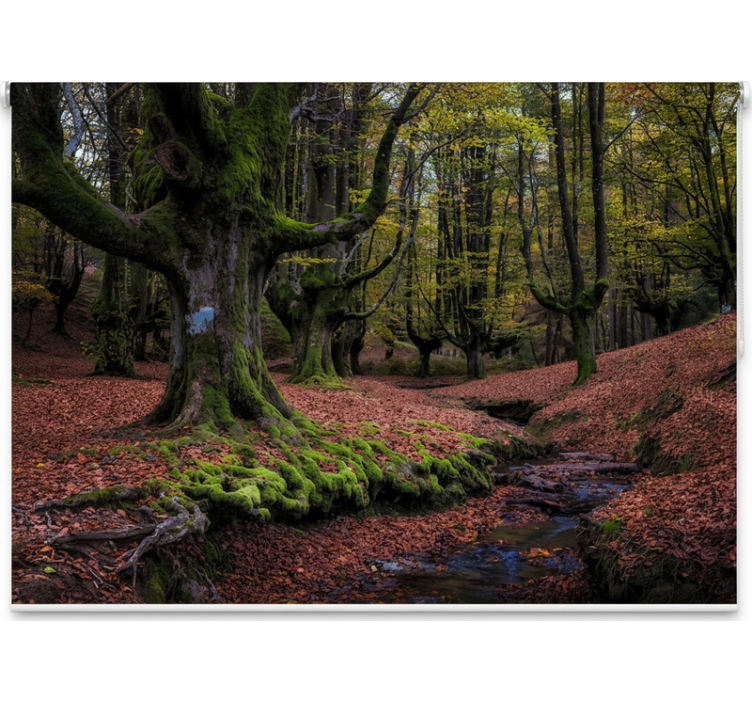 Rolo zavjese drveće Čarobna jesenja šuma - TenStickers