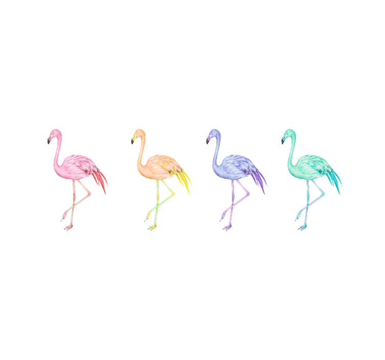 Bijele zavjese s šarenim flamingosima bez šavova - TenStickers
