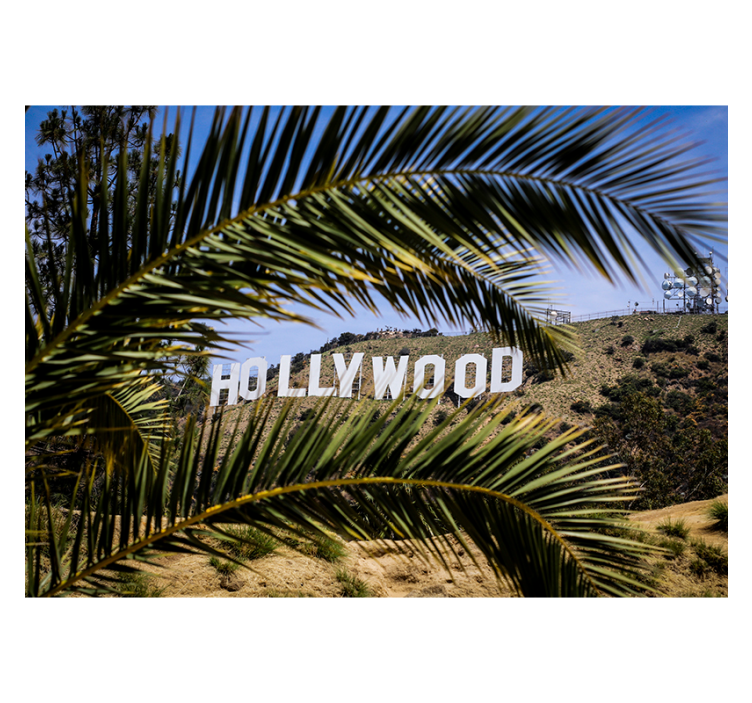 Zavjese za dnevni boravak s motivom hollywooda i drveta - TenStickers