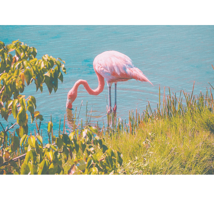 Zavjese za dnevni boravak s predivnim flamingom uz vodu - TenStickers