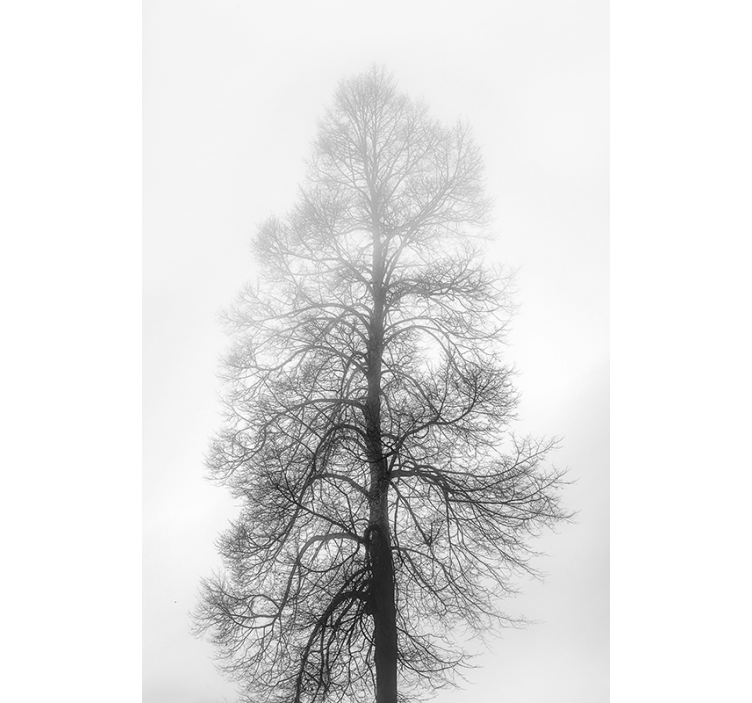 Prozorsko staklo sive skale - TenStickers