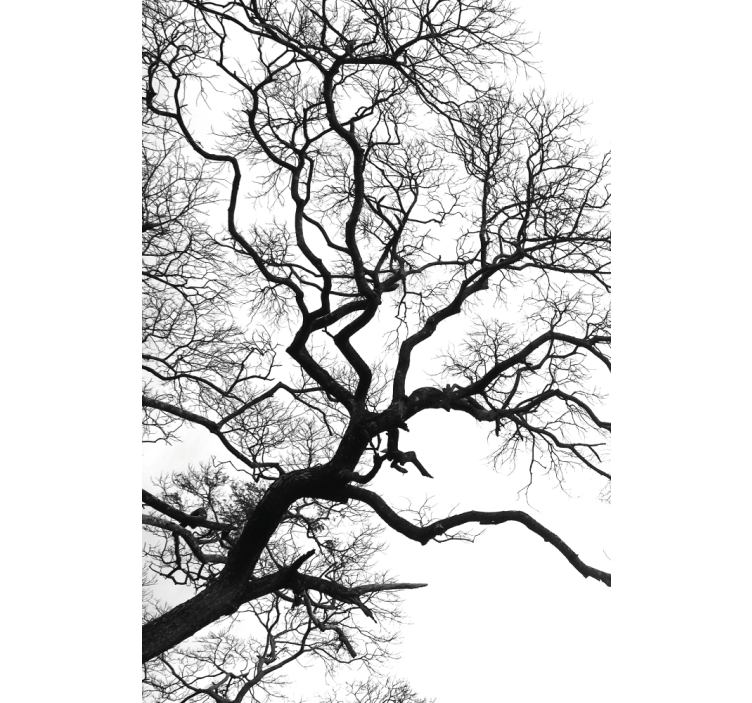 Single wood branch rupture rolo zavjesa slikanje - TenStickers