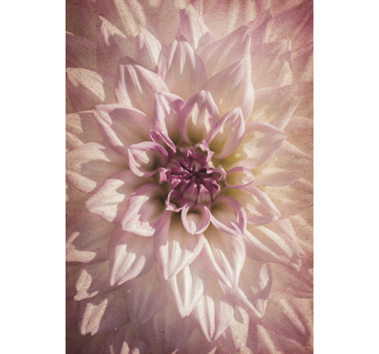 Rolo zavjese cvijeće i biljke nježni cvjet - TenStickers