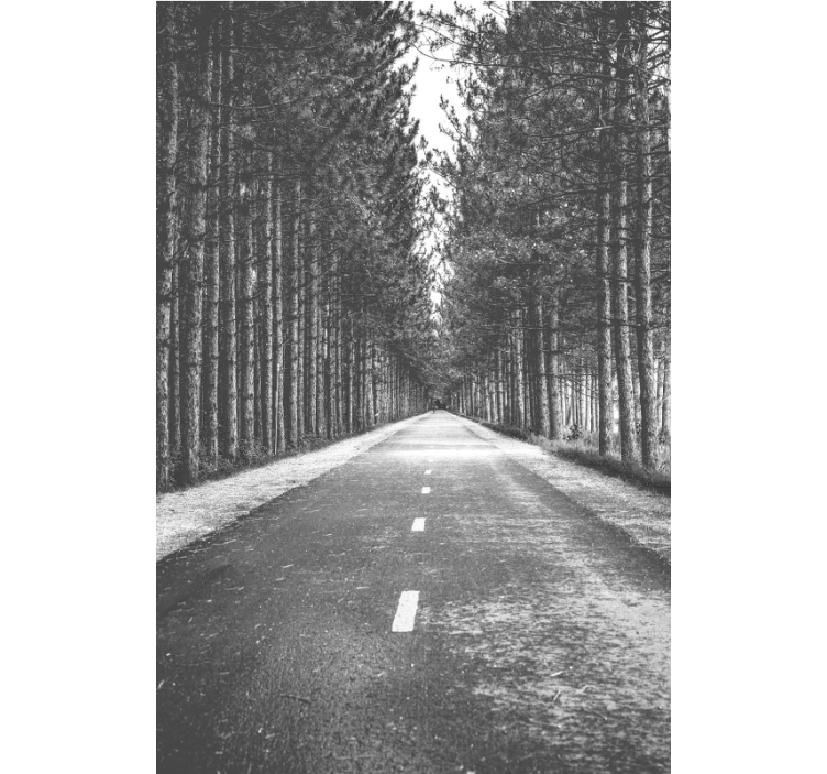 Ostale rolete mirna šumska staza - TenStickers