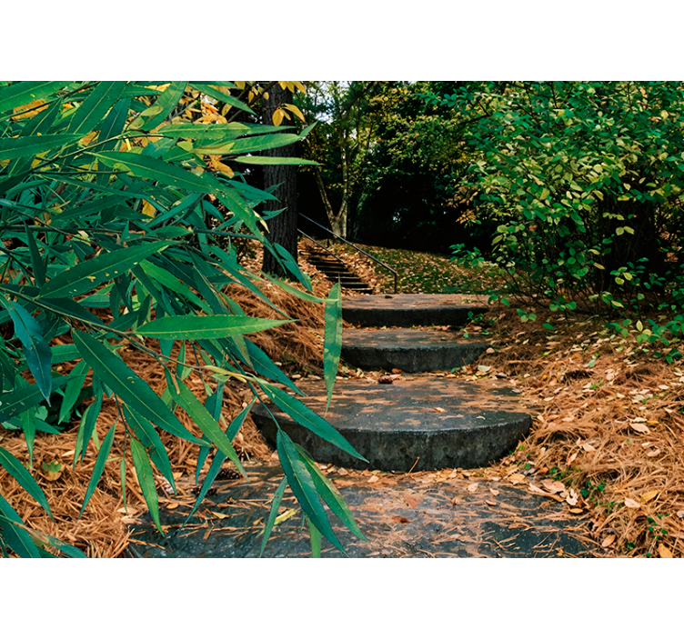 3d šuma i mala cesta originalna rolo zavjesa - TenStickers