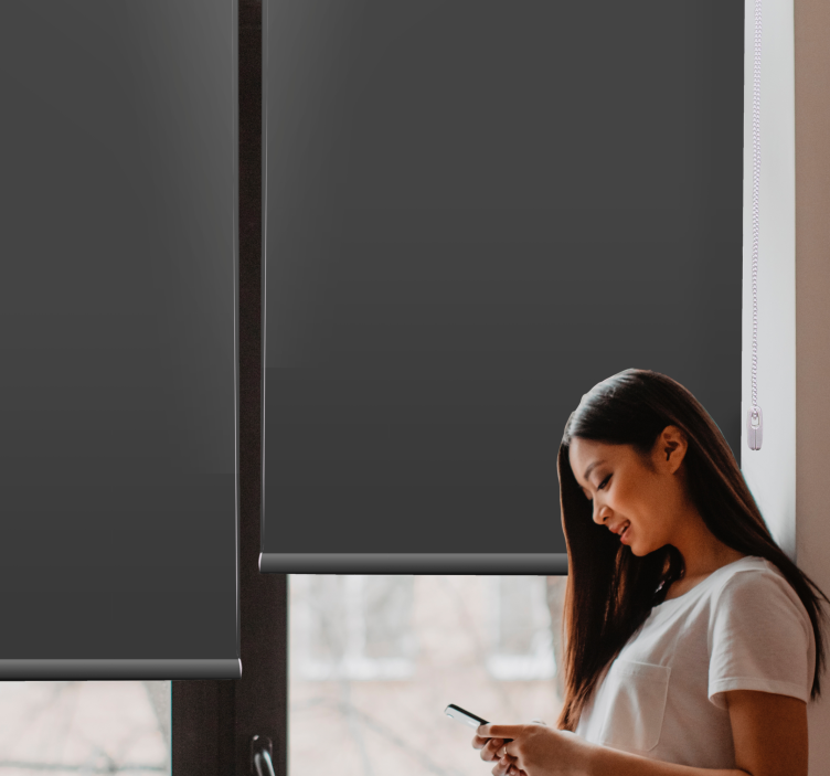 Ugljen siva jednobojna elegantna roleta - TenStickers