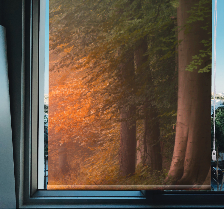 Duboka fantastična šuma originalna rolo zavjesa - TenStickers