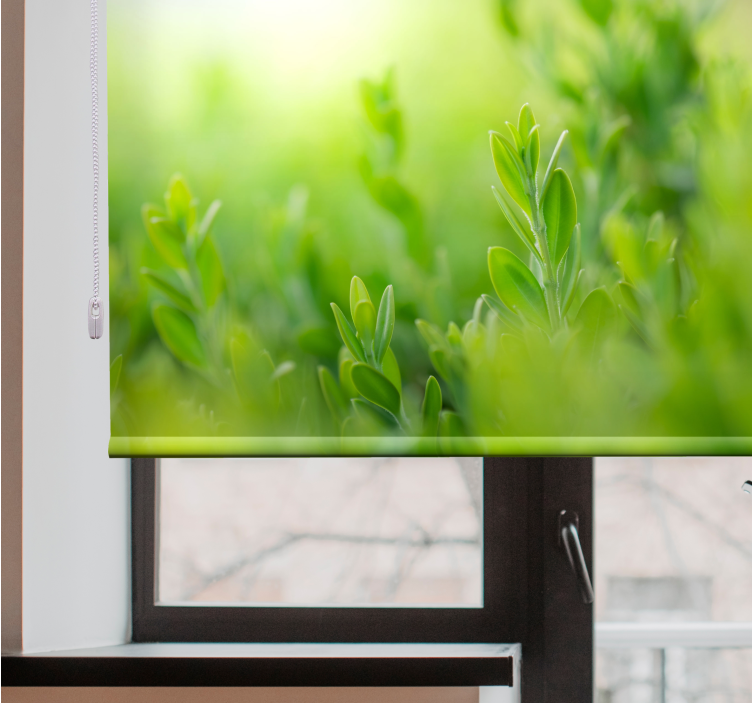 Rolo zavjese cvijeće i biljke slika bujnog zelenila - TenStickers