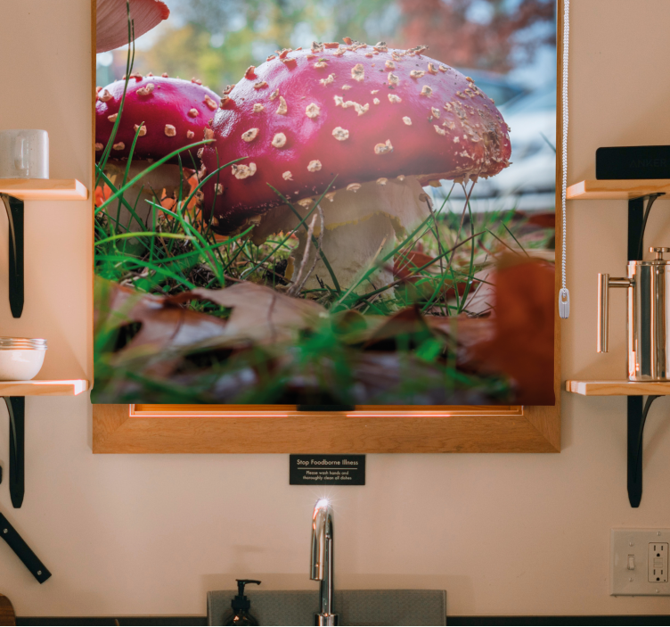 Rolo zavjese cvijeće i biljke jarke crvene gljive - TenStickers