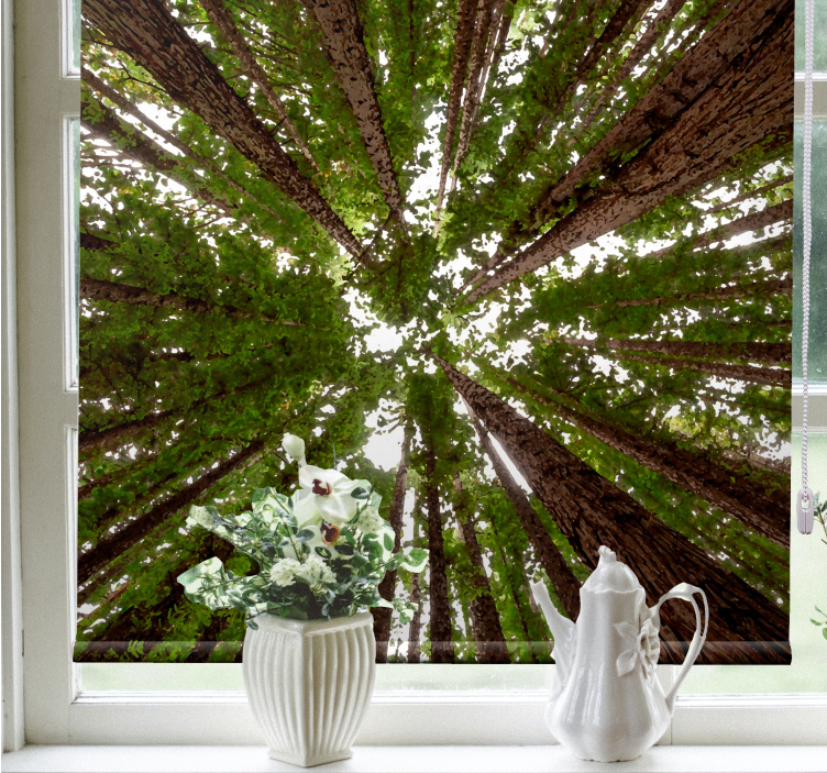 Rolo zavjese drveće dizajn visoke nadstrešnice - TenStickers