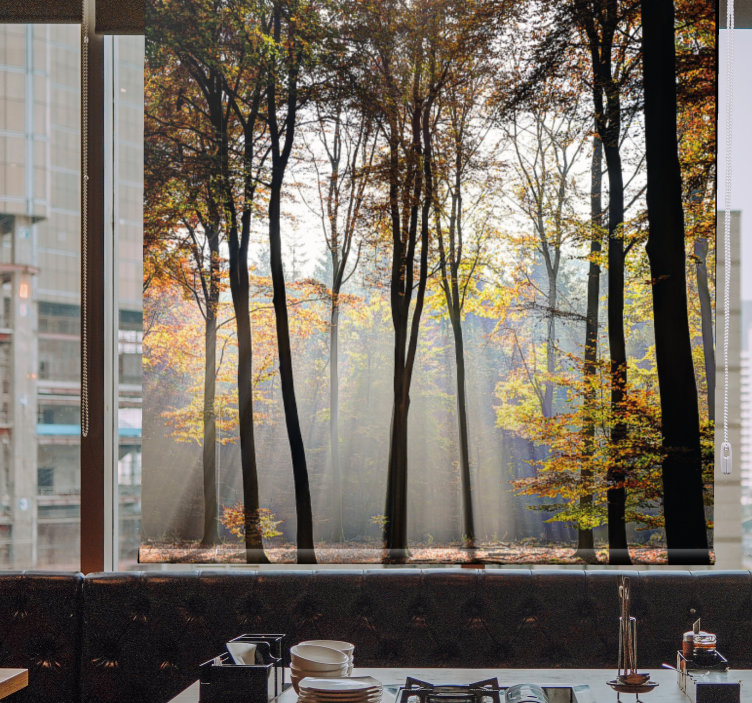 Rolo zavjese drveće šumski prizor obasjan suncem - TenStickers