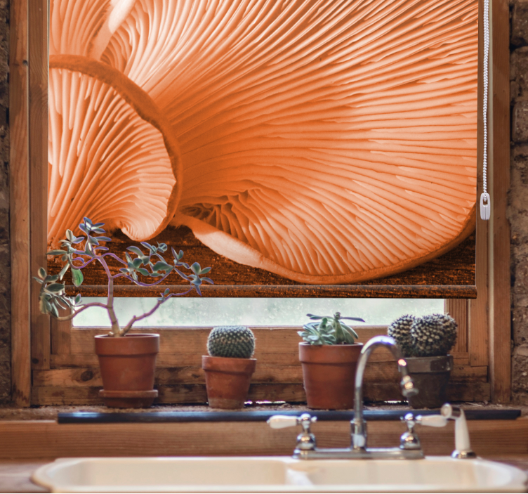 Rolo zavjese voće i povrće gljiva škrge izbliza - TenStickers