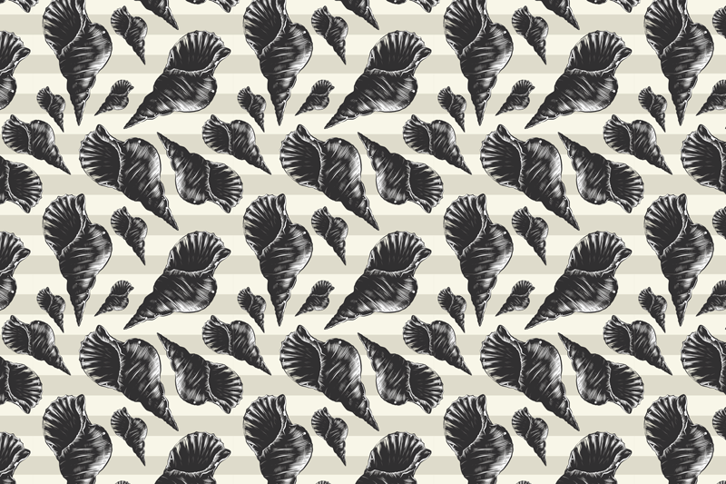 Ručno crtanje školjke, školjke - TenStickers