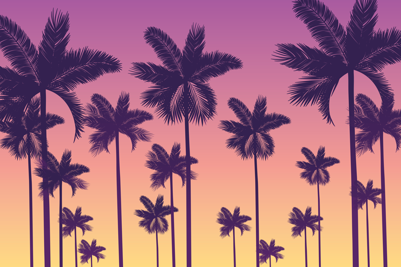 Podmetač izvornik palm tree sunset - TenStickers