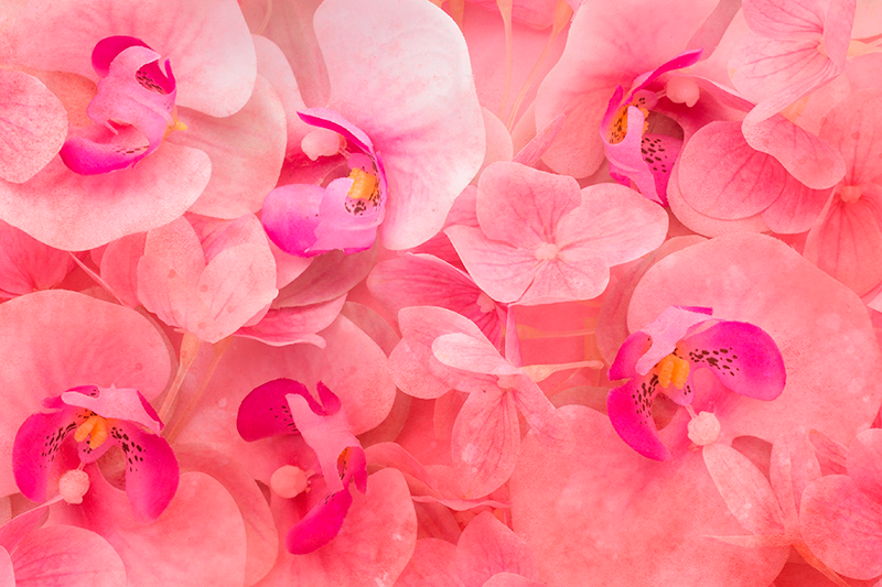 Podmetač tekstura sklad nježnog cvijeta - TenStickers