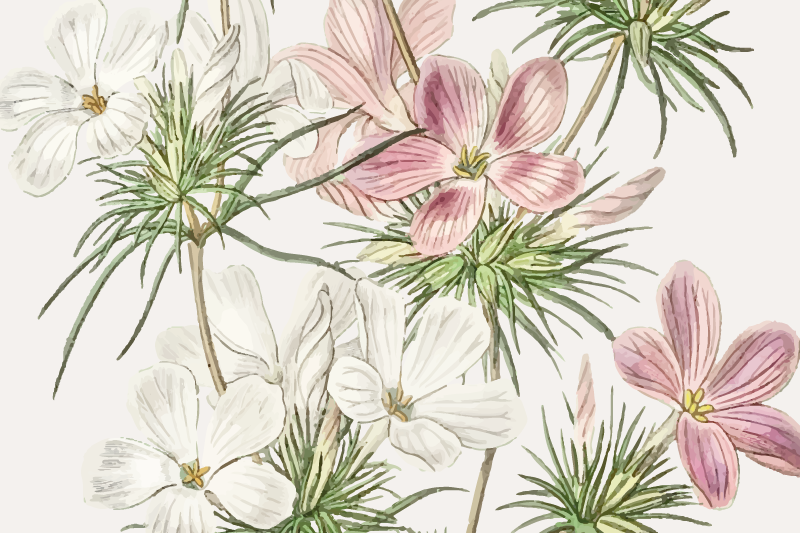 Podmetač izvornik cvjetni botanički aranžman - TenStickers