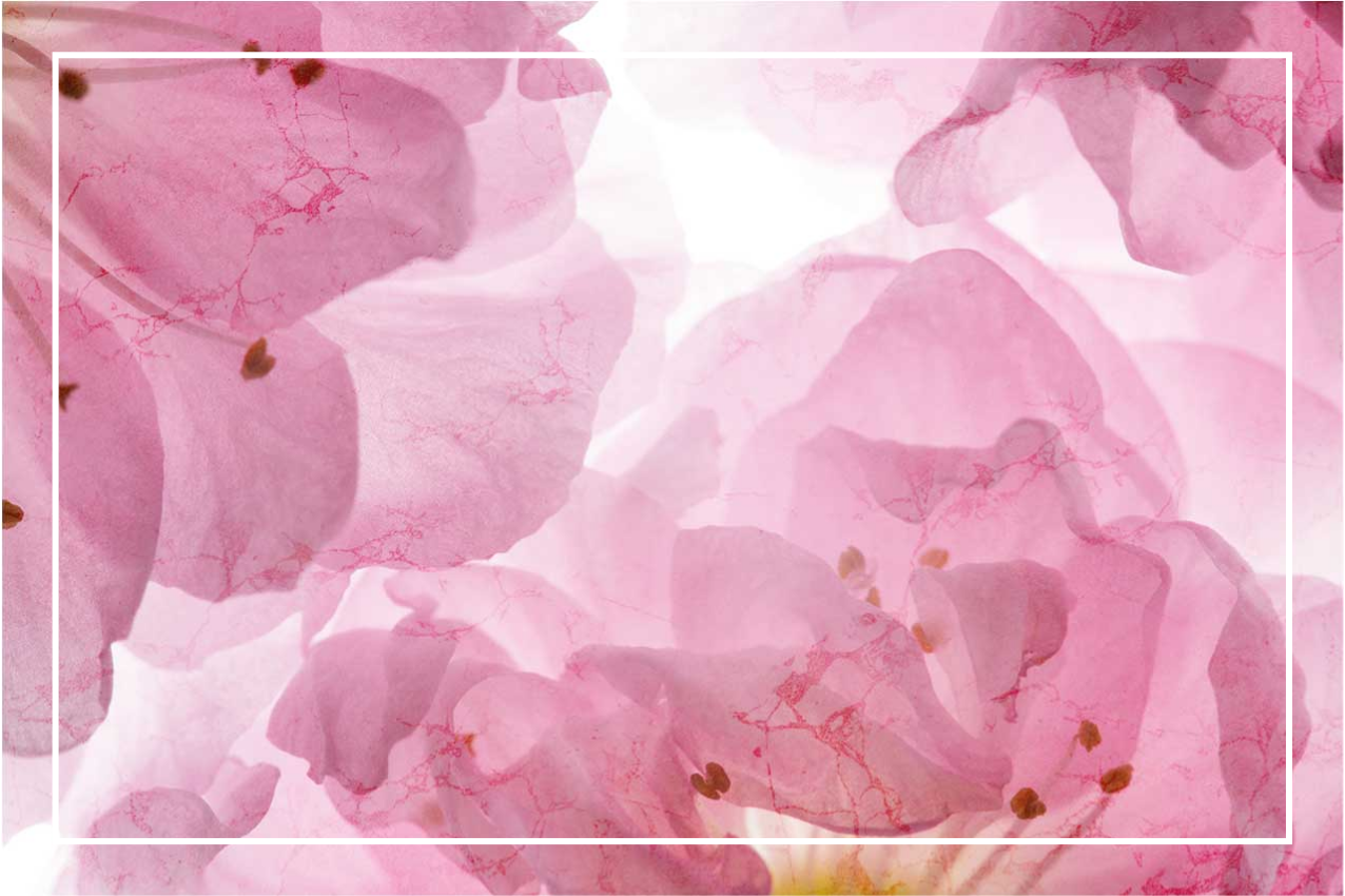 Podmetač elegantan s mekim cvjetnim uzorkom - TenStickers