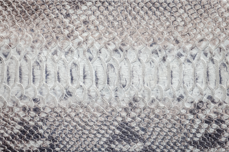 Podmetač tekstura koža zmije - TenStickers