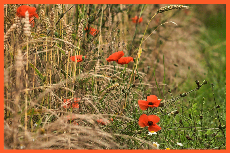 Podmetač djeca smiješno poslagana hrana - TenStickers